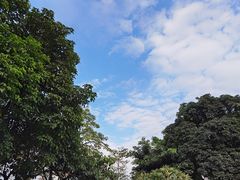 -映月湖公园