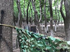 -亲兄弟真人CS团建拓展基地