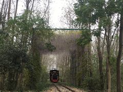 -合肥滨湖国家森林公园