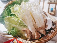 -同仁四季椰子鸡(福田东园总店)