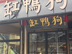 -缸鸭狗(天一广场店)
