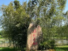 -泗洪洪泽湖湿地景区