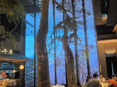 -桂满陇·海市蜃楼·黑金(国金店)