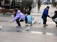 -中粮·祥云小镇