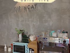 -十年猫舍·猫咪专门店(普陀店)