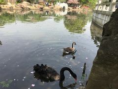 -白马涧龙池景区