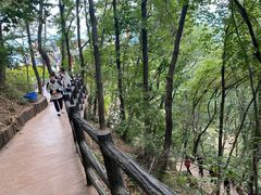 -栾川竹海野生动物园