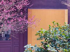 -慧因高丽寺