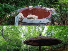 -天目湖御水温泉·度假酒店