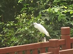-广西壮族自治区药用植物园