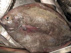 -鸿港海鲜批发市场