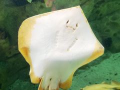 -珠海长隆海洋王国