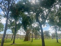 -上海海湾国家森林公园