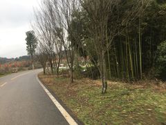 -崇阳三特浪口温泉