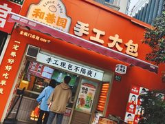-和善园手工大包子(常德路店)