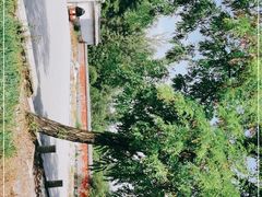 -鹫峰国家森林公园