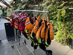 -怀托摩萤火虫洞