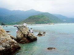 -杨梅坑