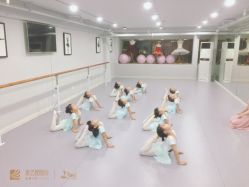 -昕艺尚皇家芭蕾舞蹈中心