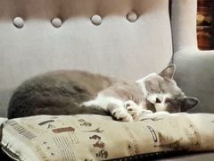 android_upload_pic-MIKAKU(万达广场上海宝山店)