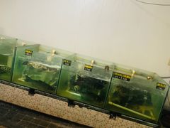 -天发长铁锅炖(王秀村店)