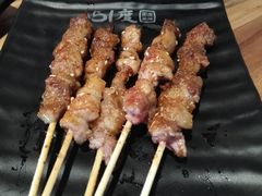 -路边摊小炉子烧烤