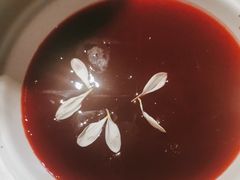 -九鼎轩脆毛肚火锅(南京东路店)