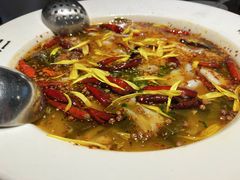 -太二酸菜鱼(金沙印象城店)