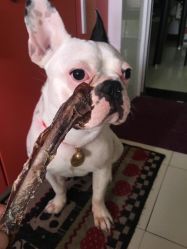 -青禾造型&刺青