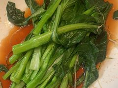 -正阳春烤鸭(华捷道店)