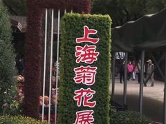 -上海共青森林公园