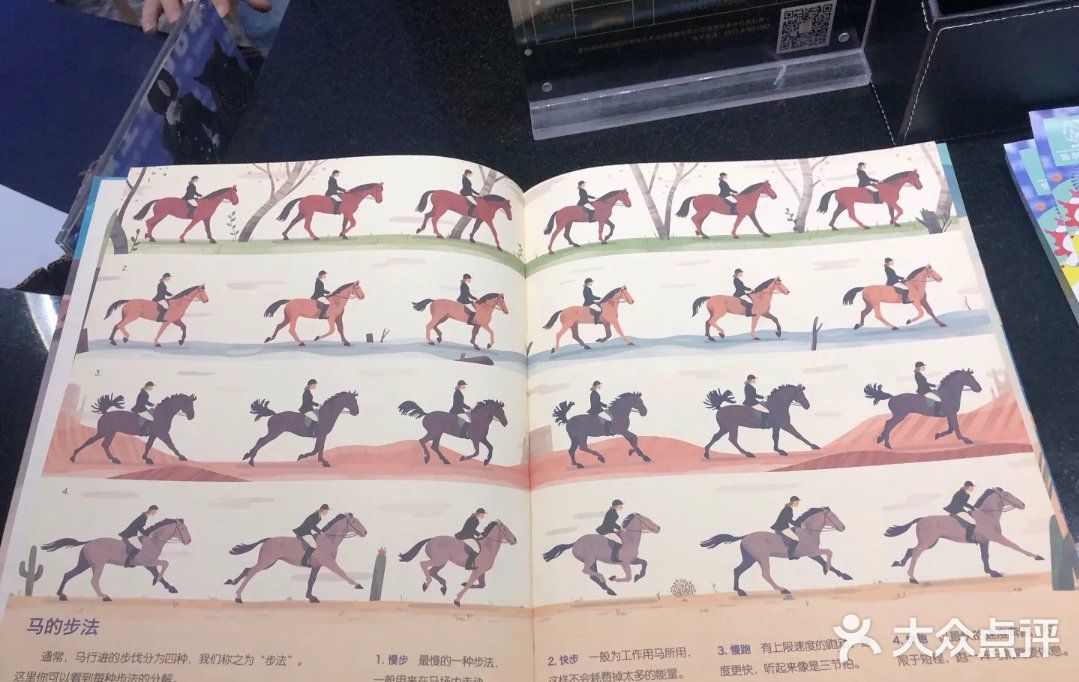 春天马术🏇🏻知道一下！