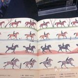 春天马术🏇🏻知道一下！