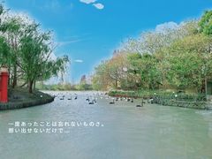-上海野生动物园