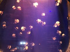 -杭州海底世界