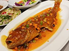 -燕春楼(海河华鼎店)