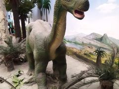 -国家自然博物馆