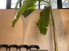 -单家老院·院子里的青岛菜(沙子口店)