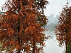 -怡海公园(桂城街道)