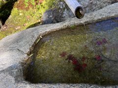 -常寂光寺