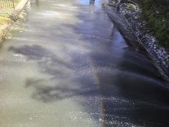 -阳光便利店(环海西路店)