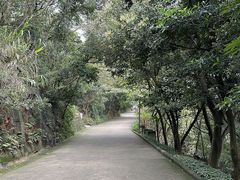 -小南山公园