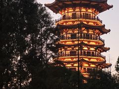 -洋湖国家湿地公园