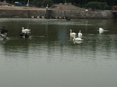 景点-哈尔滨北方森林动物园