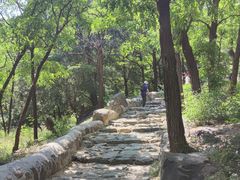 -阳台山自然风景区