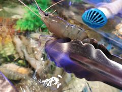 -V-ONE西雅图海鲜自助餐厅(仓山万达广场店)