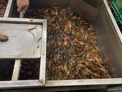 -拙味兄弟龙虾·江湖菜(和畅堂店)