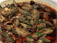 -情妹耙泥鳅·江湖川菜(科华店)