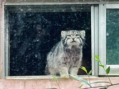 -青藏高原野生动物园