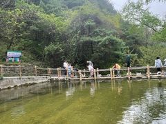 -王顺山国家森林公园